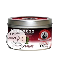 Citrus Mint Цитрус с мятой Табак Starbuz 250 гр